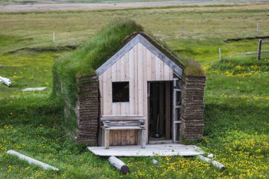 tipik yeşil evleri gras ile İzlanda'yaz aylarında çatı.