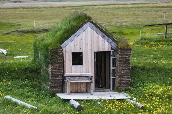 Casas Verdes Típicas Com Telhado Gras Islândia Verão — Fotografia de Stock