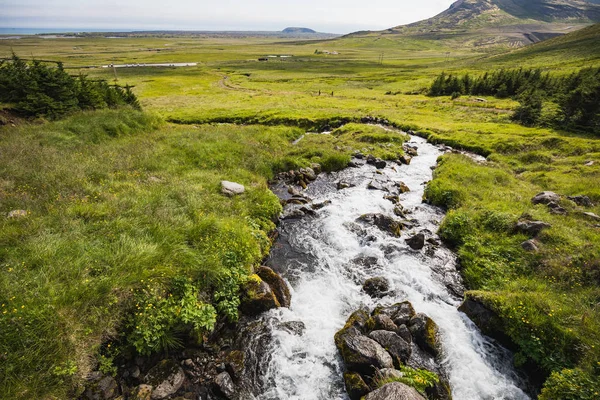 Vista Colorida Desfiladeiro Verde Com Água Pura Riacho Iceland — Fotografia de Stock