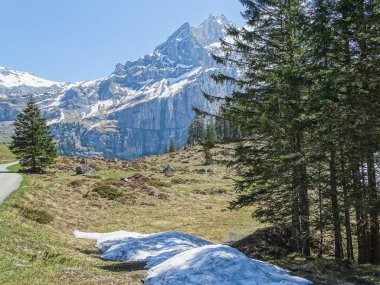 Alpler Panorama görünümünü Kandersteg switzerland yakınındaki bir yürüyüş yolu üzerinde
