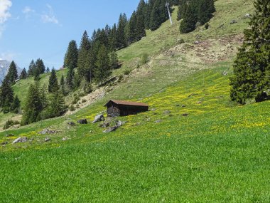 Swiss Alps Oeschinensee ayında Kandersteg yakınındaki küçük alpine hut