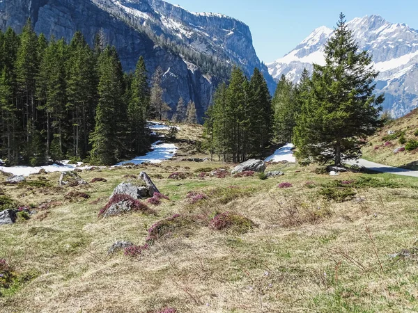 Panorama Vista Dos Alpes Caminho Caminhada Perto Kandersteg Suíça — Fotografia de Stock