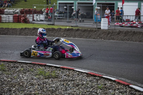 09.06.2018 İsviçre Wohlen Kart Şampiyonası