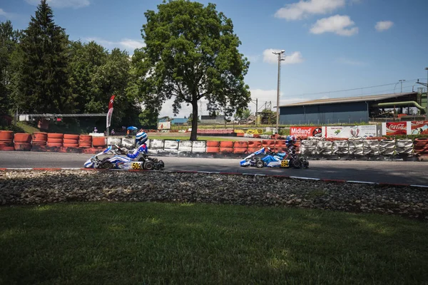 Senior Kart Racer Auf Der Bahn Schweizer Kart Meisterschaft Wohlen — Stockfoto