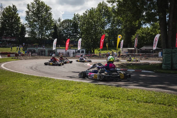 09.06.2018 İsviçre Wohlen Kart Şampiyonası