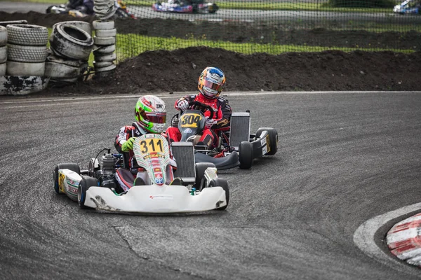 09.06.2018 İsviçre Wohlen Kart Şampiyonası