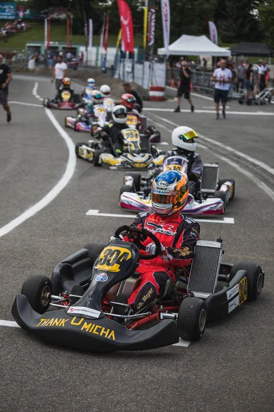 09.06.2018 İsviçre Wohlen Kart Şampiyonası