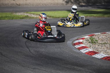 09.06.2018 İsviçre Wohlen Kart Şampiyonası