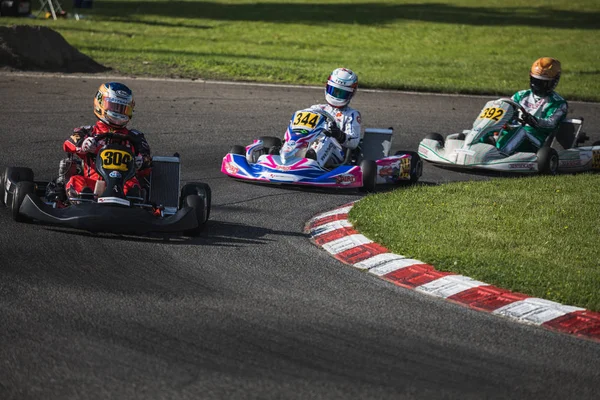 2018 Campeonato Suíço Kart Wohlen Suíça — Fotografia de Stock