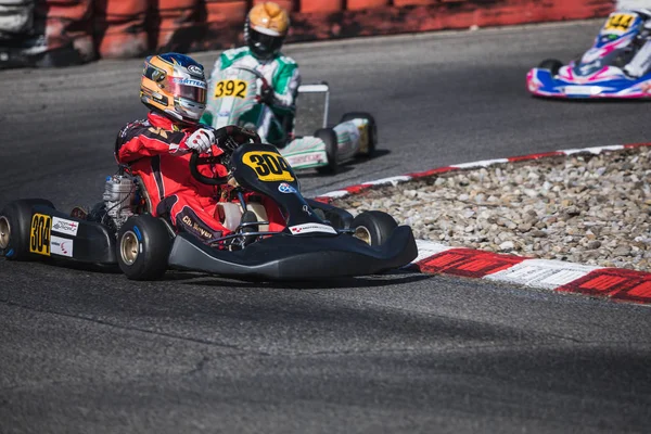 2018 Campeonato Suíço Kart Wohlen Suíça — Fotografia de Stock