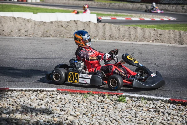 2018 Schweizer Kartmeisterschaft Wohlen Schweiz — Stockfoto