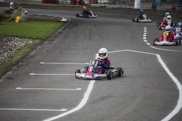 09.06.2018 İsviçre Wohlen Kart Şampiyonası