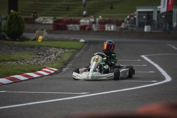 2018 Campeonato Suíço Kart Wohlen Suíça — Fotografia de Stock