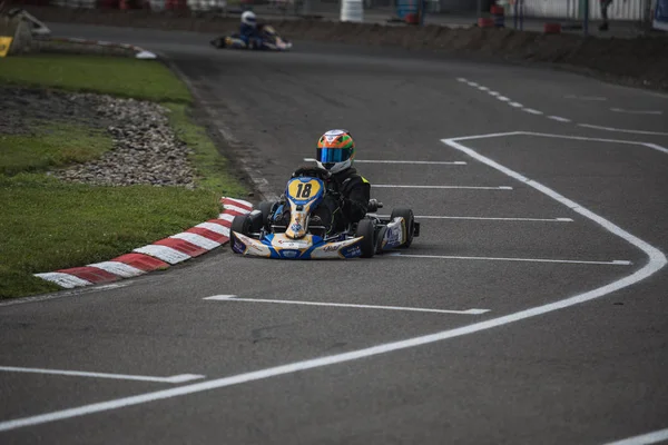 2018 Švýcarské Mistrovství Kart Wohlenském Švýcarsku — Stock fotografie