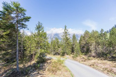 Alpler Panorama görünümünü Kandersteg switzerland yakınındaki bir yürüyüş yolu üzerinde