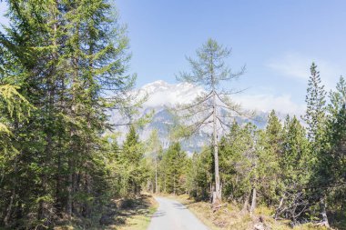 Alpler Panorama görünümünü Kandersteg switzerland yakınındaki bir yürüyüş yolu üzerinde