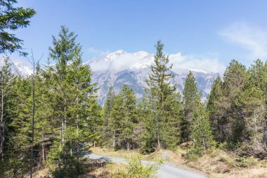 Alpler Panorama görünümünü Kandersteg switzerland yakınındaki bir yürüyüş yolu üzerinde