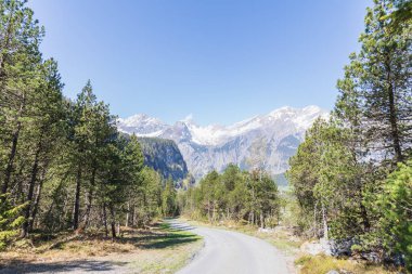 Alpler Panorama görünümünü Kandersteg switzerland yakınındaki bir yürüyüş yolu üzerinde