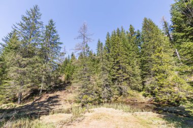 Güzel küçük nehir kenarında kandersteg İsviçre oeschinensee