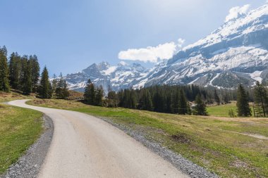 Alpler Panorama görünümünü Kandersteg switzerland yakınındaki bir yürüyüş yolu üzerinde