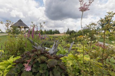 nochten Kömür Santrali boxberg Almanya yakınlarında şaşırtıcı findlingspark alanında