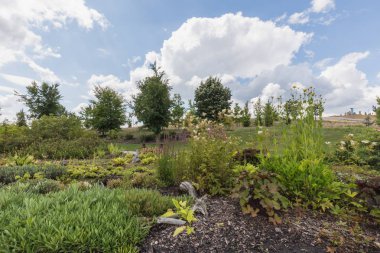 nochten Kömür Santrali boxberg Almanya yakınlarında şaşırtıcı findlingspark alanında