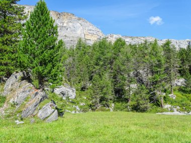 İsviçre, Europe Gemmi geçişte aracılığıyla yüksek dağ yolu üzerinde muhteşem manzara