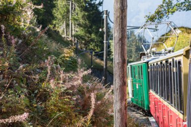 Eski yolcu treni Interlaken üzerinden Schynige Platte giderken. İsviçre