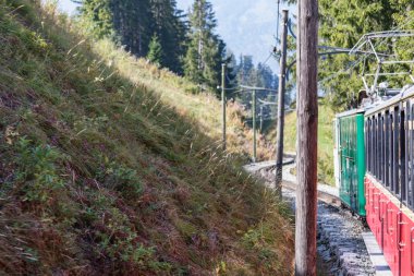 Eski yolcu treni Interlaken üzerinden Schynige Platte giderken. İsviçre