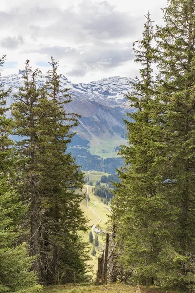 Mount Brunni, Engelberg İsviçre Alpleri'nde üzerinde yaz aylarında hiking