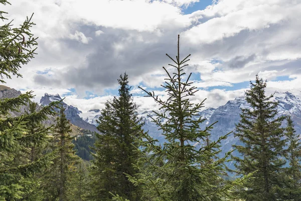 Mount Brunni, Engelberg İsviçre Alpleri'nde üzerinde yaz aylarında hiking