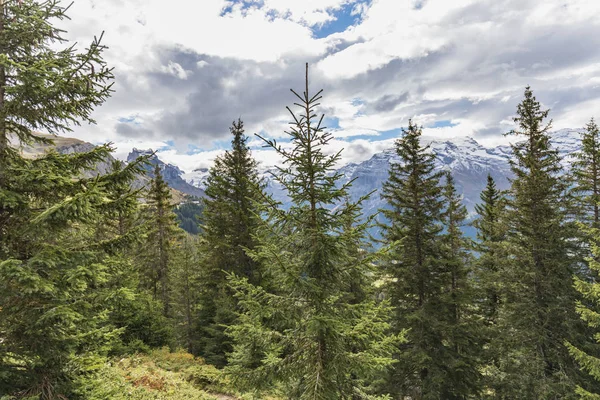 Mount Brunni, Engelberg İsviçre Alpleri'nde üzerinde yaz aylarında hiking