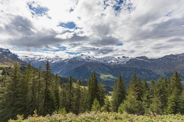Mount Brunni, Engelberg İsviçre Alpleri'nde üzerinde yaz aylarında hiking