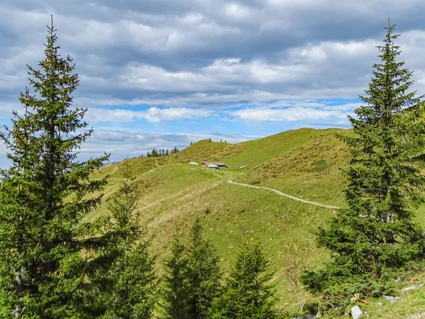 Turystyki Mount Brunni Engelbergu Alpach Szwajcarskich Okresie Letnim — Zdjęcie stockowe