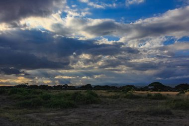 Güzel, Kuru savana yatay massai mara kenya Afrika bulutlar