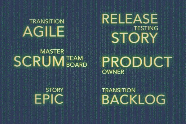 Matrix Concepts of Agile Software Development Techology Scrum, Business