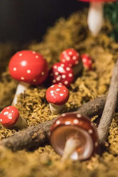 Close Cogumelos Brinquedo Sob Uma Árvore Natal Xmas — Fotografia de Stock