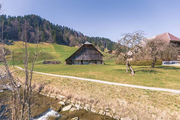 Весенние впечатления от Марбаха, эмментального энтлебуха Швейцарии — стоковое фото