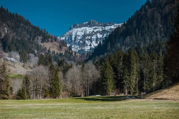 Impressões de primavera de marbach, emmental entlebuch suíça — Fotografia de Stock