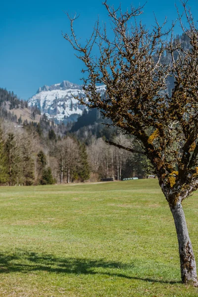 Impressões de primavera de marbach, emmental entlebuch suíça — Fotografia de Stock