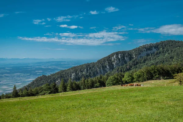 Caminhadas na montanha weissenstein na Suíça, panorama dos cisnes — Fotografia de Stock