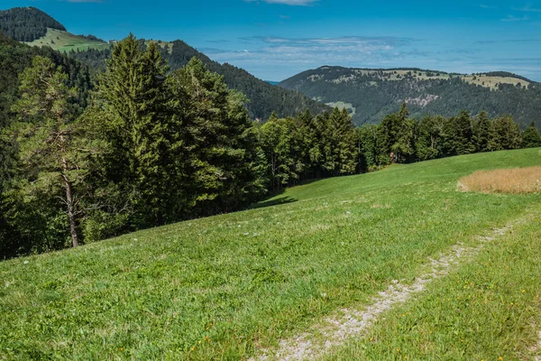 Caminhadas na montanha weissenstein na Suíça, panorama dos cisnes — Fotografia de Stock