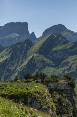 toggenburg yakınlarındaki güzel İsviçre alpleri arasında koyun