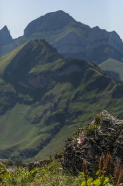 Togg yakınında mavi gökyüzü ile güneşli bir günde İsviçre alpleri ile Yürüyüş