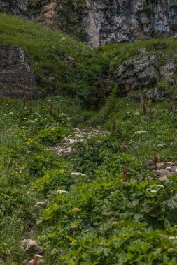 Togg yakınında mavi gökyüzü ile güneşli bir günde İsviçre alpleri ile Yürüyüş
