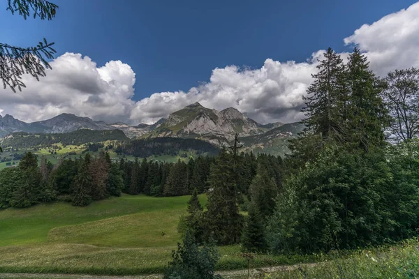 Caminhadas através de alpes suíços em um dia ensolarado com céu azul perto de togg — Fotografia de Stock