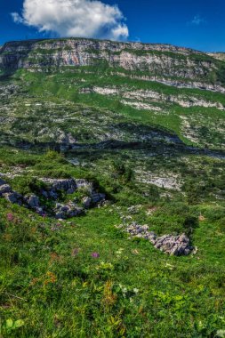 Togg yakınında mavi gökyüzü ile güneşli bir günde İsviçre alpleri ile Yürüyüş