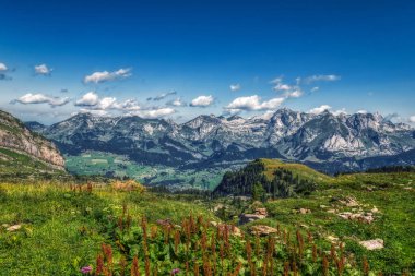 Togg yakınında mavi gökyüzü ile güneşli bir günde İsviçre alpleri ile Yürüyüş