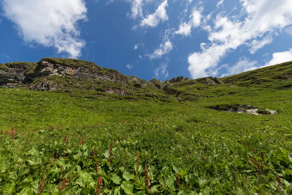 Togg yakınında mavi gökyüzü ile güneşli bir günde İsviçre alpleri ile Yürüyüş