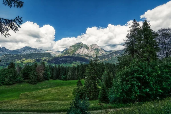 Geweldig panorama tijdens een wandeling door de Zwitserse Alpen — Stockfoto